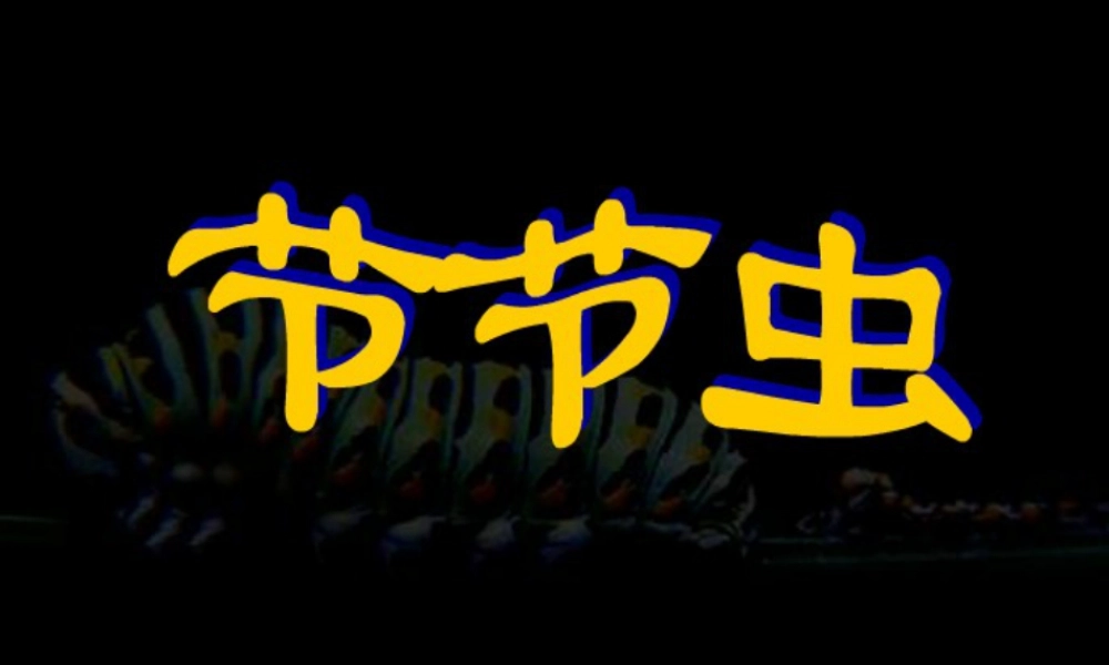 人美版小学美术二年级下册课时课件-《节节虫》课件2.ppt