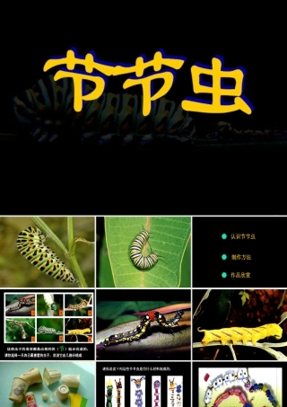 人美版小学美术二年级下册课时课件-《节节虫》课件2.ppt