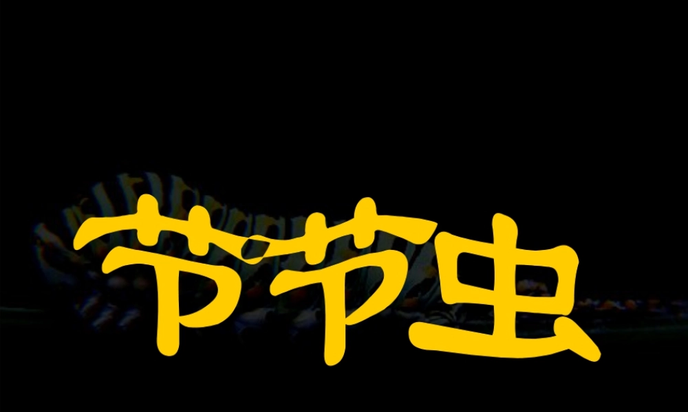 人美版小学美术二年级下册课时课件-《节节虫》课件3.ppt