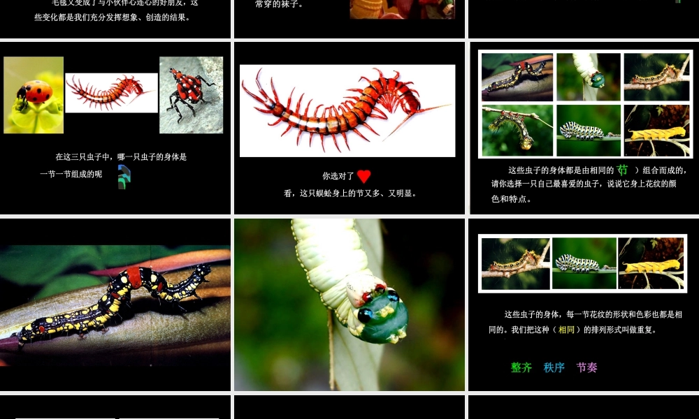人美版小学美术二年级下册课时课件-《节节虫》课件3.ppt