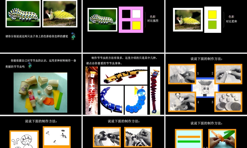 人美版小学美术二年级下册课时课件-《节节虫》课件3.ppt