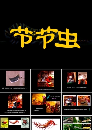 人美版小学美术二年级下册课时课件-《节节虫》课件3.ppt