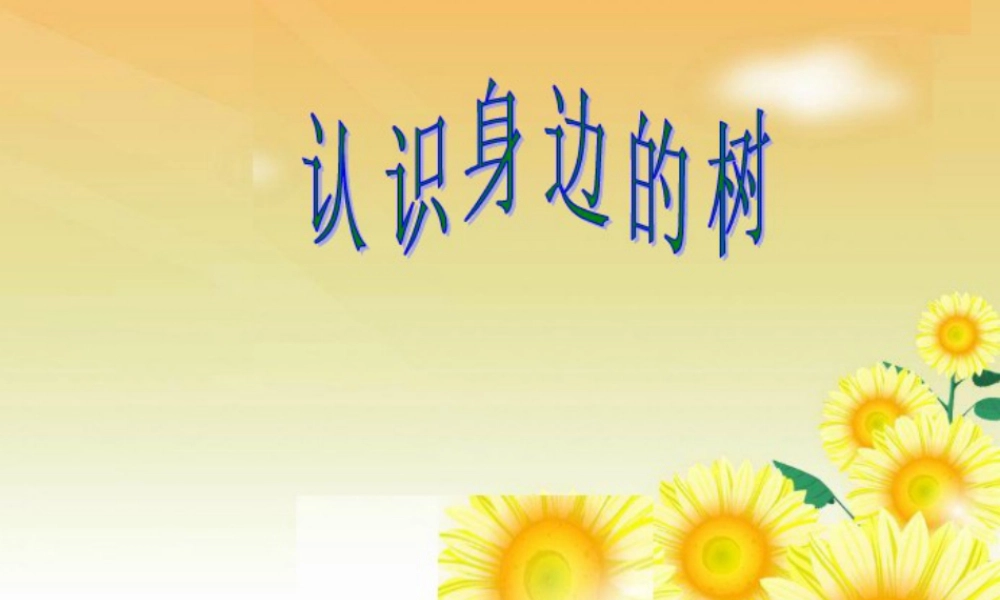 人美版小学美术二年级下册课时课件-《认识身边的树》课件1.ppt