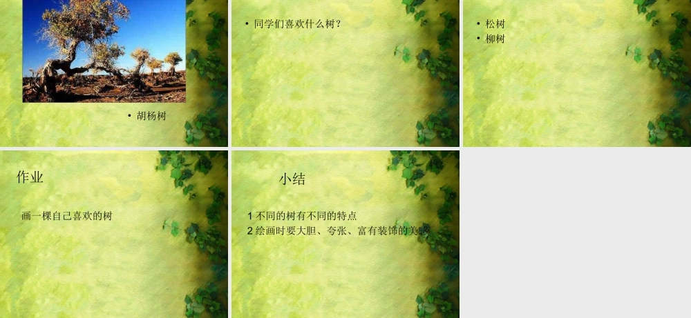 人美版小学美术二年级下册课时课件-《认识身边的树》课件2.ppt