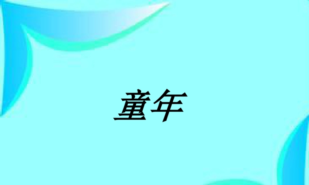 人美版小学美术二年级下册课时课件-《童年》课件3.ppt