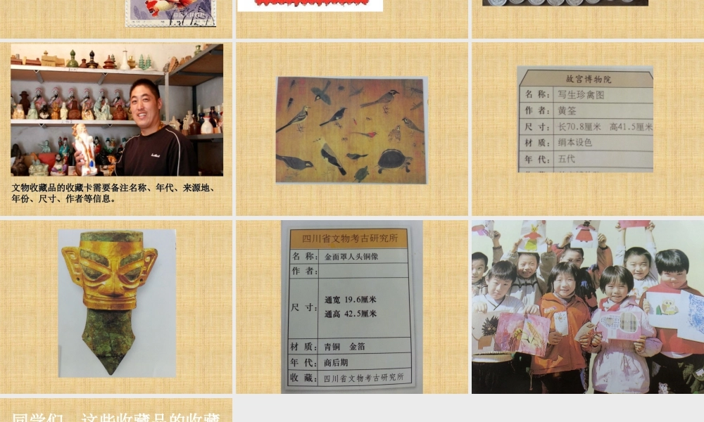 人美版小学美术二年级下册课时课件-《我的收藏卡》课件2.ppt