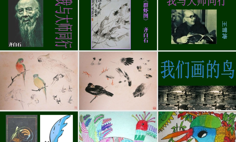 人美版小学美术二年级下册课时课件-《我喜欢的鸟》课件1.ppt