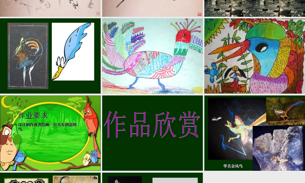 人美版小学美术二年级下册课时课件-《我喜欢的鸟》课件3.ppt