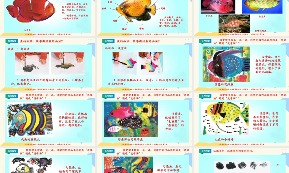 人美版小学美术四年级下册 第九课《用彩墨画鱼》课件.ppt
