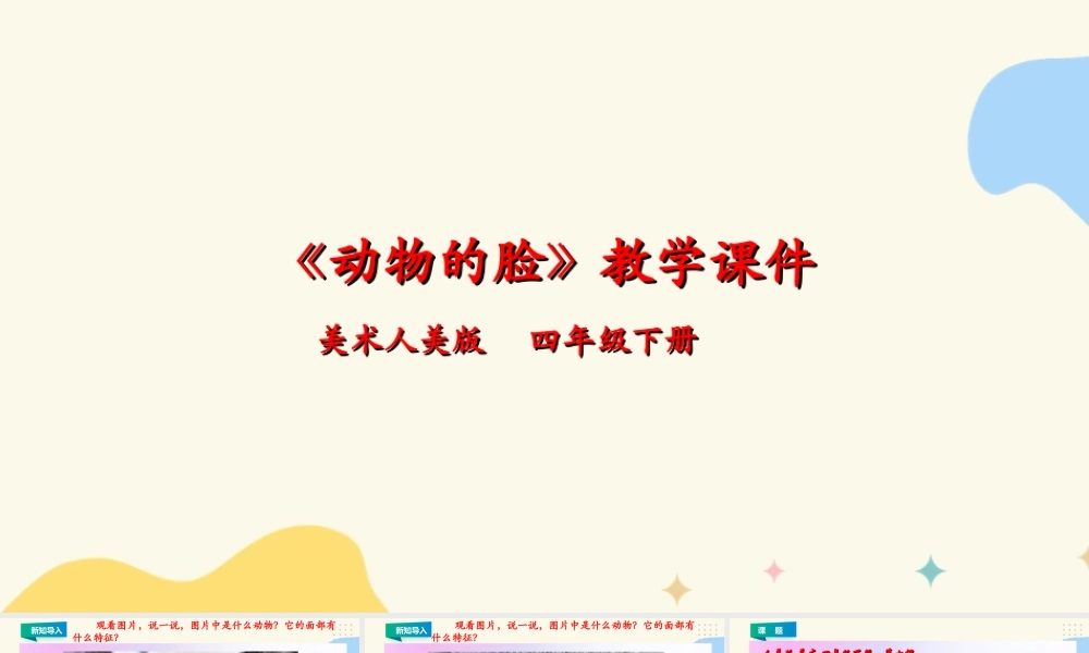 人美版小学美术四年级下册 第十课《动物的脸》课件.ppt