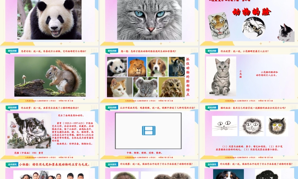 人美版小学美术四年级下册 第十课《动物的脸》课件.ppt