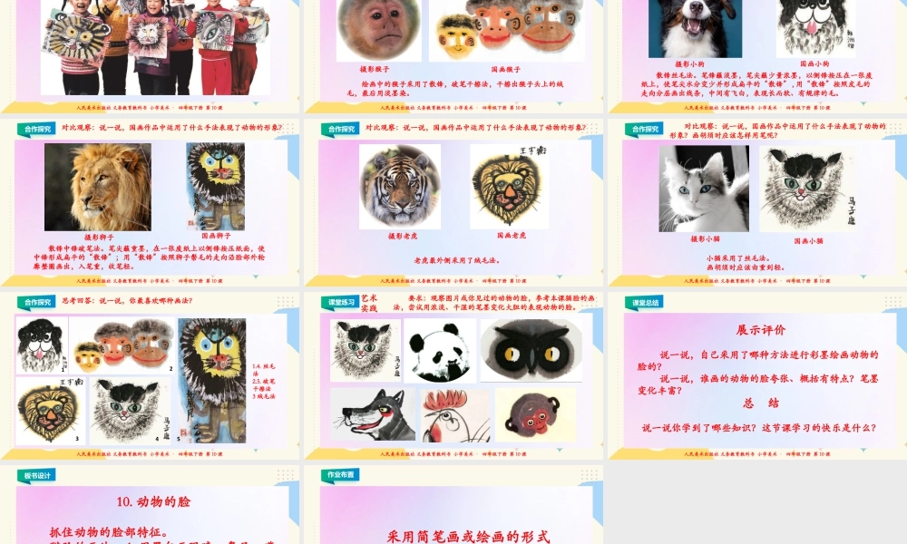 人美版小学美术四年级下册 第十课《动物的脸》课件.ppt