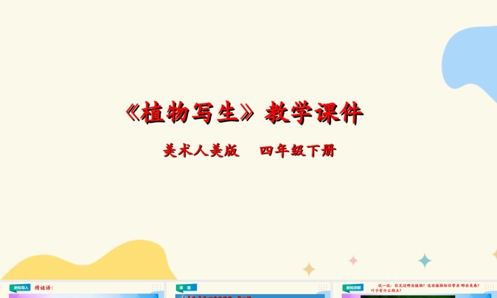 人美版小学美术四年级下册 第一课《植物写生》课件.ppt