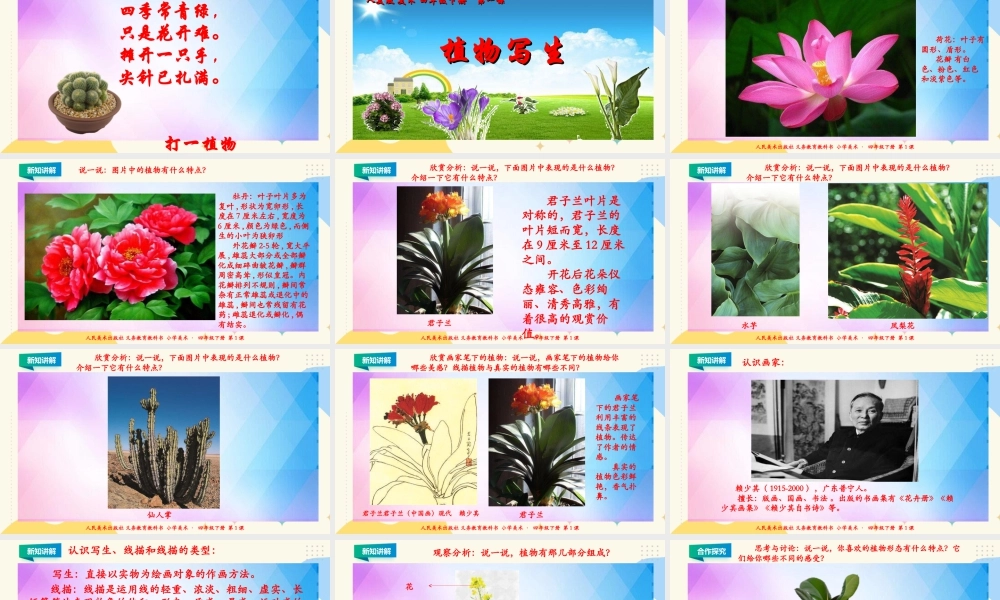 人美版小学美术四年级下册 第一课《植物写生》课件.ppt
