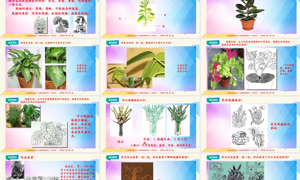 人美版小学美术四年级下册 第一课《植物写生》课件.ppt