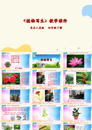 人美版小学美术四年级下册 第一课《植物写生》课件.ppt