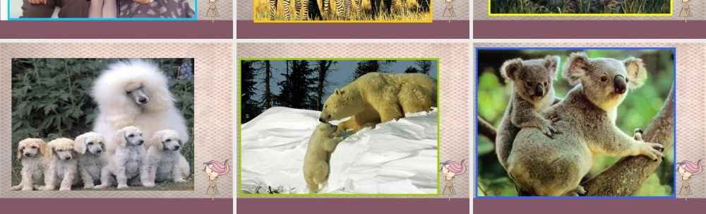 我们是幸福的一家人-人美版小学六年级上册.ppt