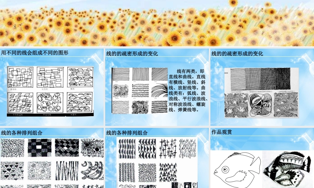 线的种类和用法-人美版小学六年级上册.ppt