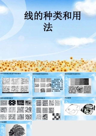 线的种类和用法-人美版小学六年级上册.ppt