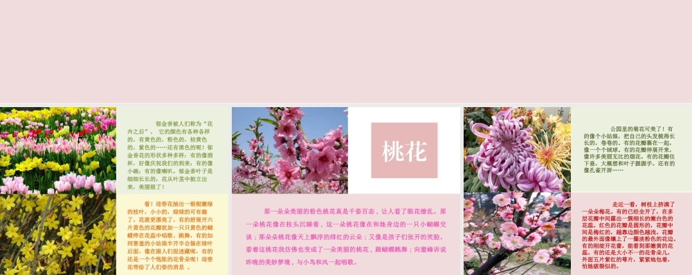 人美版小学美术二年级上册-美丽的花.ppt