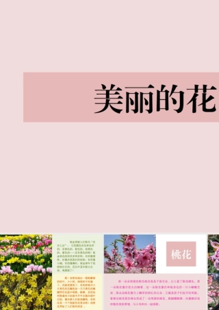 人美版小学美术二年级上册-美丽的花.ppt