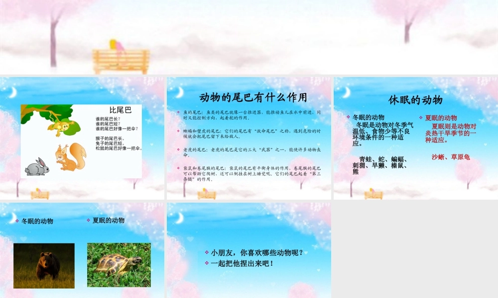 人美版小学美术二年级上册-动物.ppt