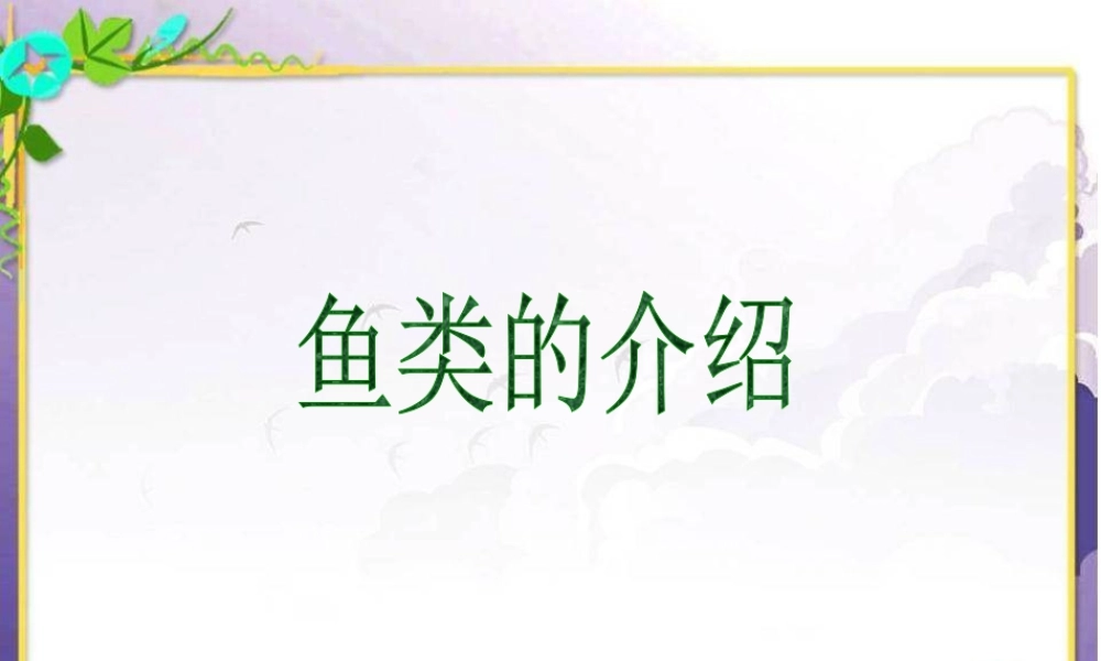 人美版美术一年级下册-鱼类的介绍.ppt