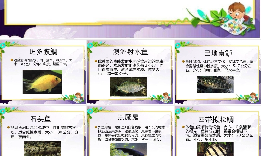 人美版美术一年级下册-鱼类的介绍.ppt