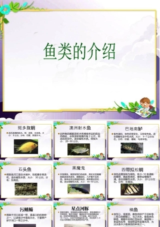 人美版美术一年级下册-鱼类的介绍.ppt