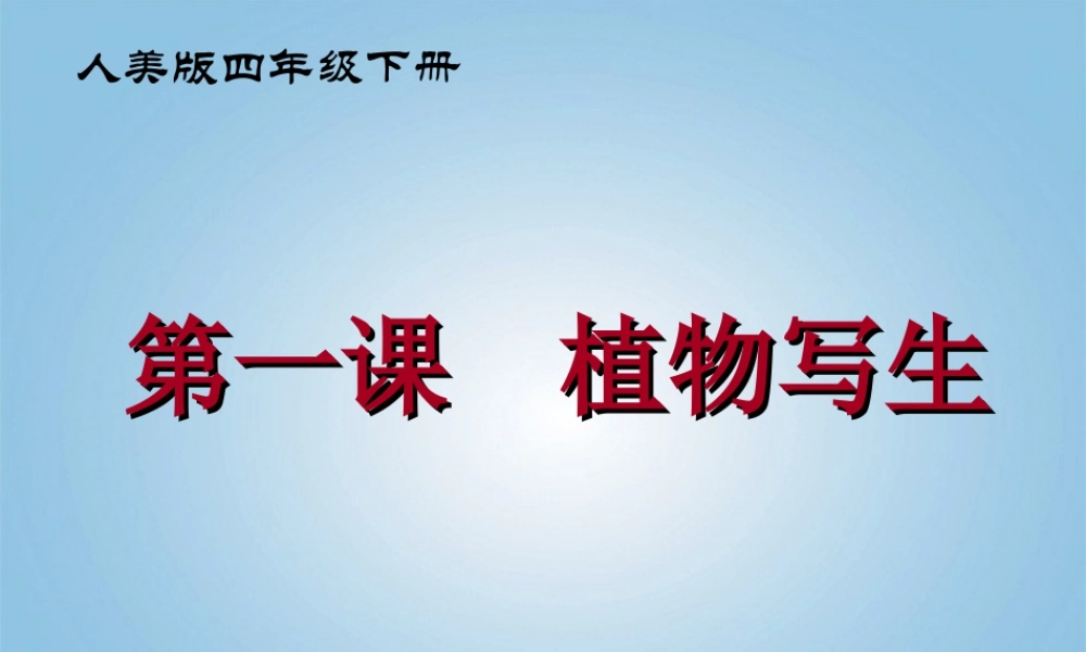人美版小学美术4年级（下）第1课 植物写生 课件 人美版.ppt