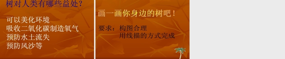 人美版小学美术二年级下册课时课件-《认识身边的树》课件3.ppt