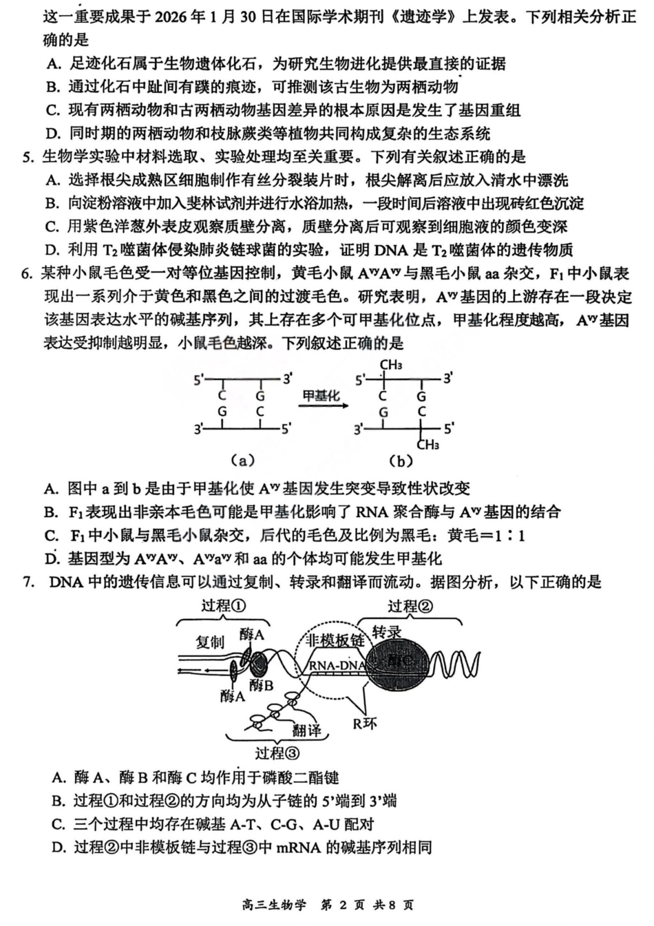 2026届高三年级第一次模拟考试质量监测试卷 生物试卷及答案.pdf_第2页