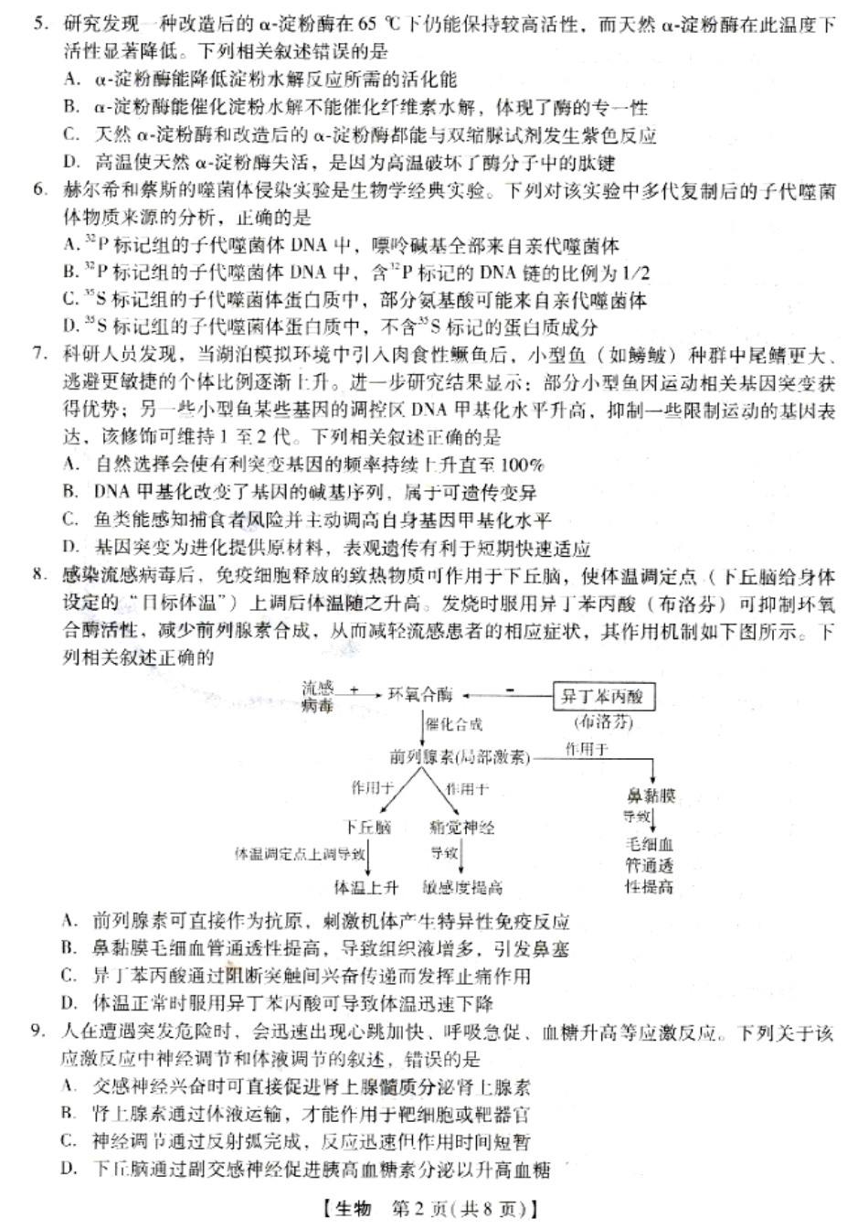 河北省琢名小渔名校联考2026届高三年级开学调研检测 生物试卷及答案.pdf_第2页