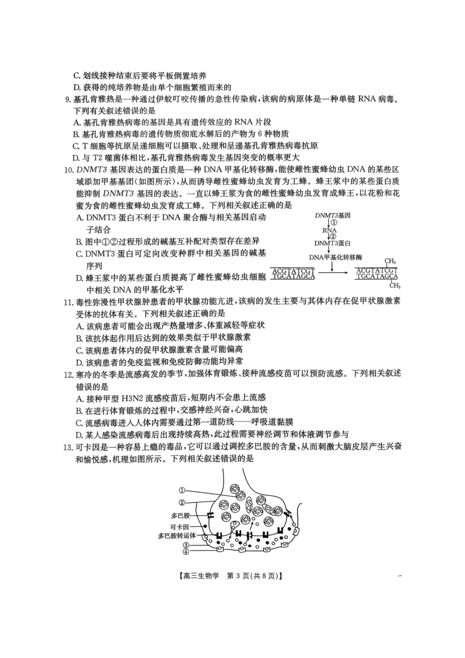 河南省2026届高三下学期3月开学联考 生物试卷及答案.pdf_第3页