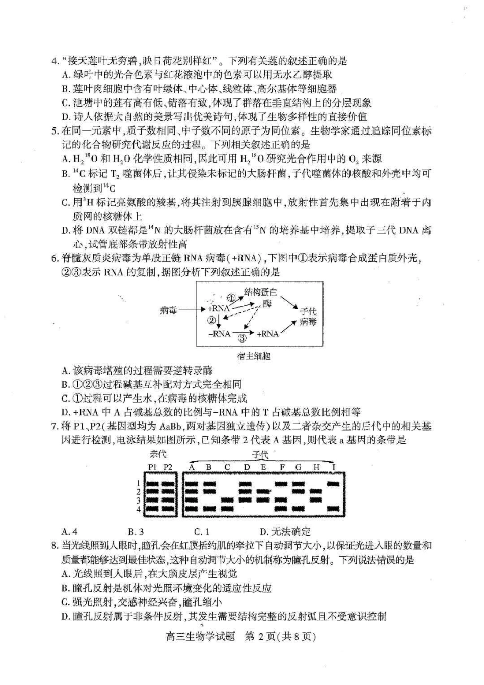湖北襄阳市2026届高三年级3月统一调研测试生物试题（含答案）.pdf_第2页