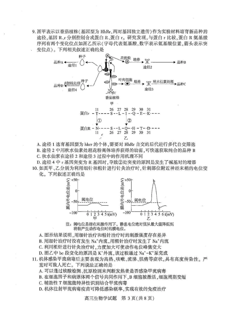 湖北襄阳市2026届高三年级3月统一调研测试生物试题（含答案）.pdf_第3页