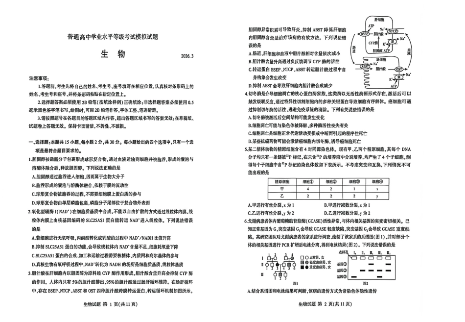 山东临沂市2026年3月高三模拟考试（临沂一模） 生物试卷（含答案及解析）.pdf_第1页