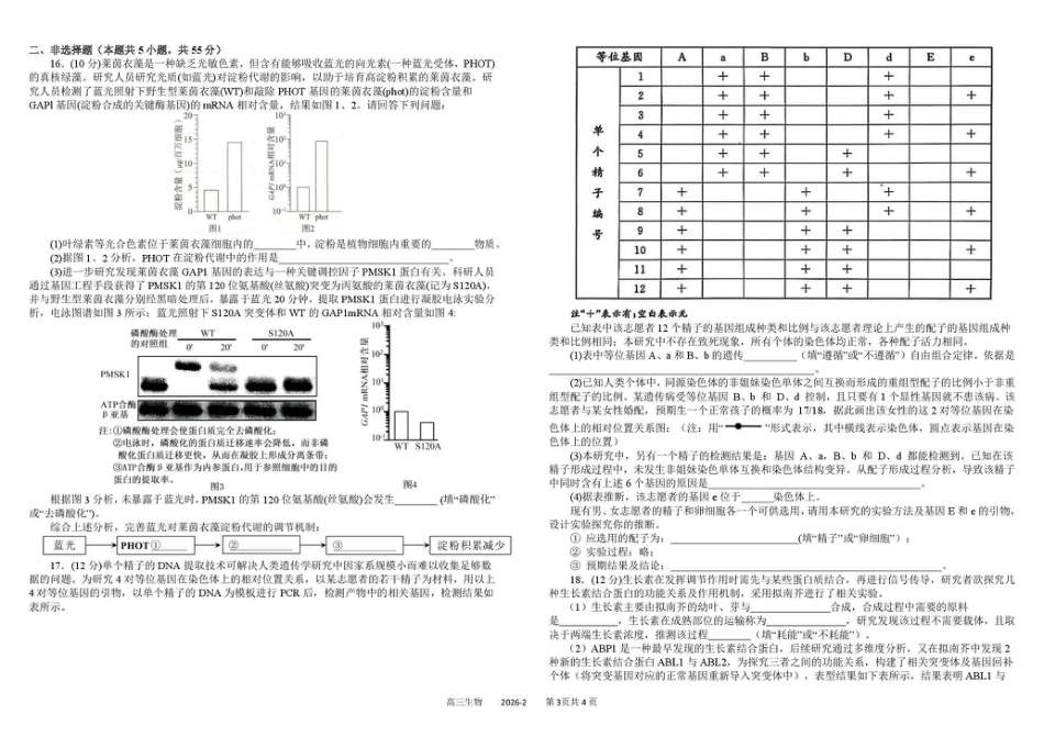 四川成都市树德中学高2023级高三下期开学考试 生物试卷（含答案）.pdf_第3页