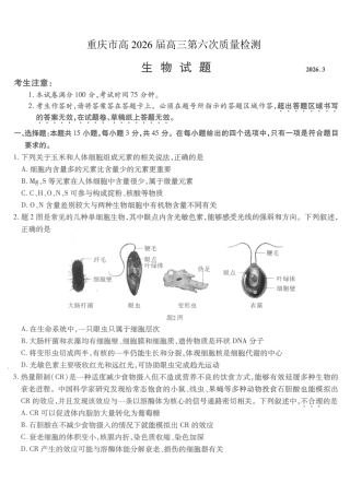 重庆市南开中学高2026届高三第六次质量检测 生物试卷及答案.pdf