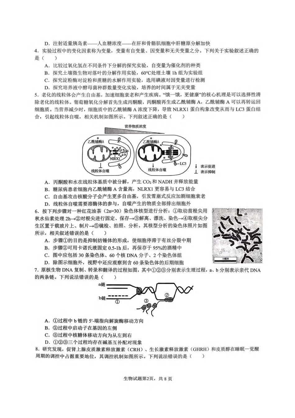 重庆市育才中学校2026届高三下学期2月开学考试生物试题.pdf_第2页