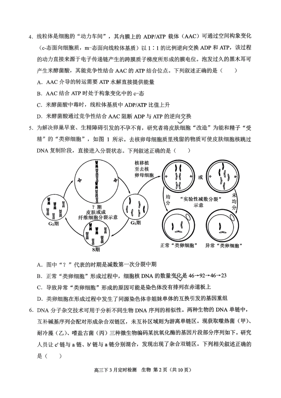 重庆西南大学附属中学校2026届高三下学期3月月考生物试题+答案.pdf_第2页