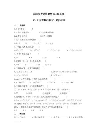 3.3 有理数的乘方  同步练习   -青岛版七年级数学上册.docx