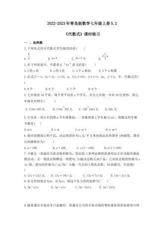 5.2 代数式 课时练习 青岛版数学七年级上册.docx