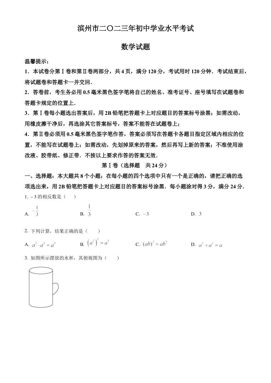 2023年山东省滨州市中考数学真题试卷（原卷版）.docx_第1页