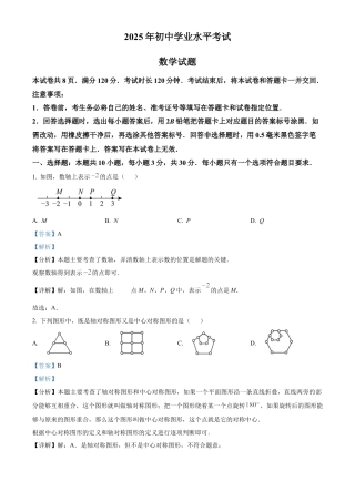 2025年山东省中考数学真题试卷（解析版）.docx