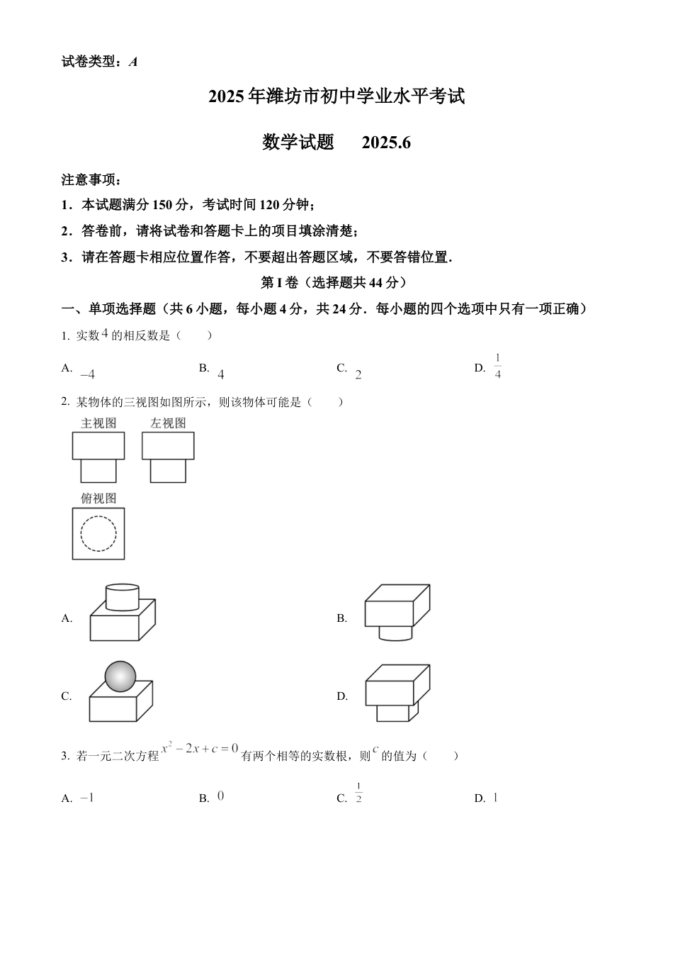 2025年山东省潍坊市中考真题数学试题（原卷版）.docx_第1页