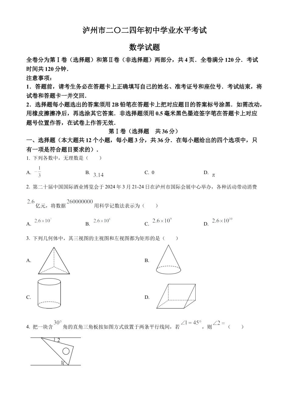 2024年四川省泸州市中考数学试题（原卷版）.docx_第1页