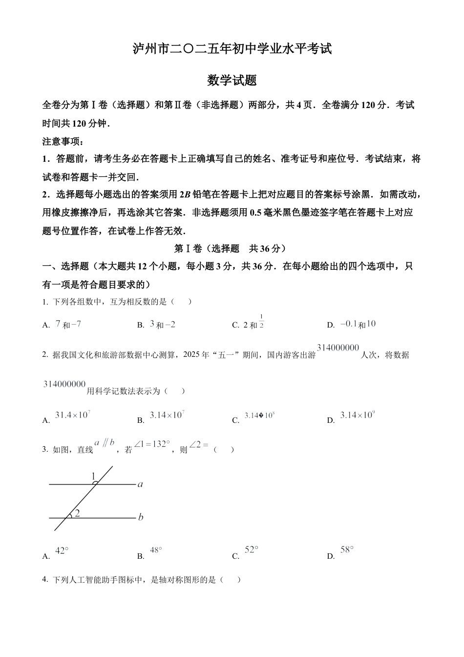 2025年四川省泸州市中考数学试题（原卷版）.docx_第1页