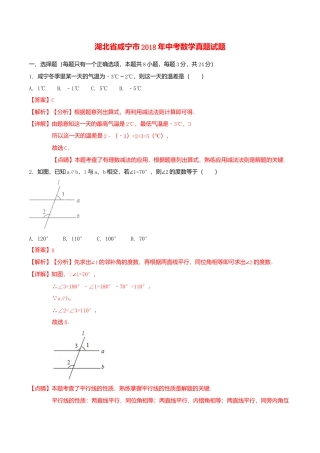 湖北省咸宁市2018年中考数学真题试题（含解析）.doc