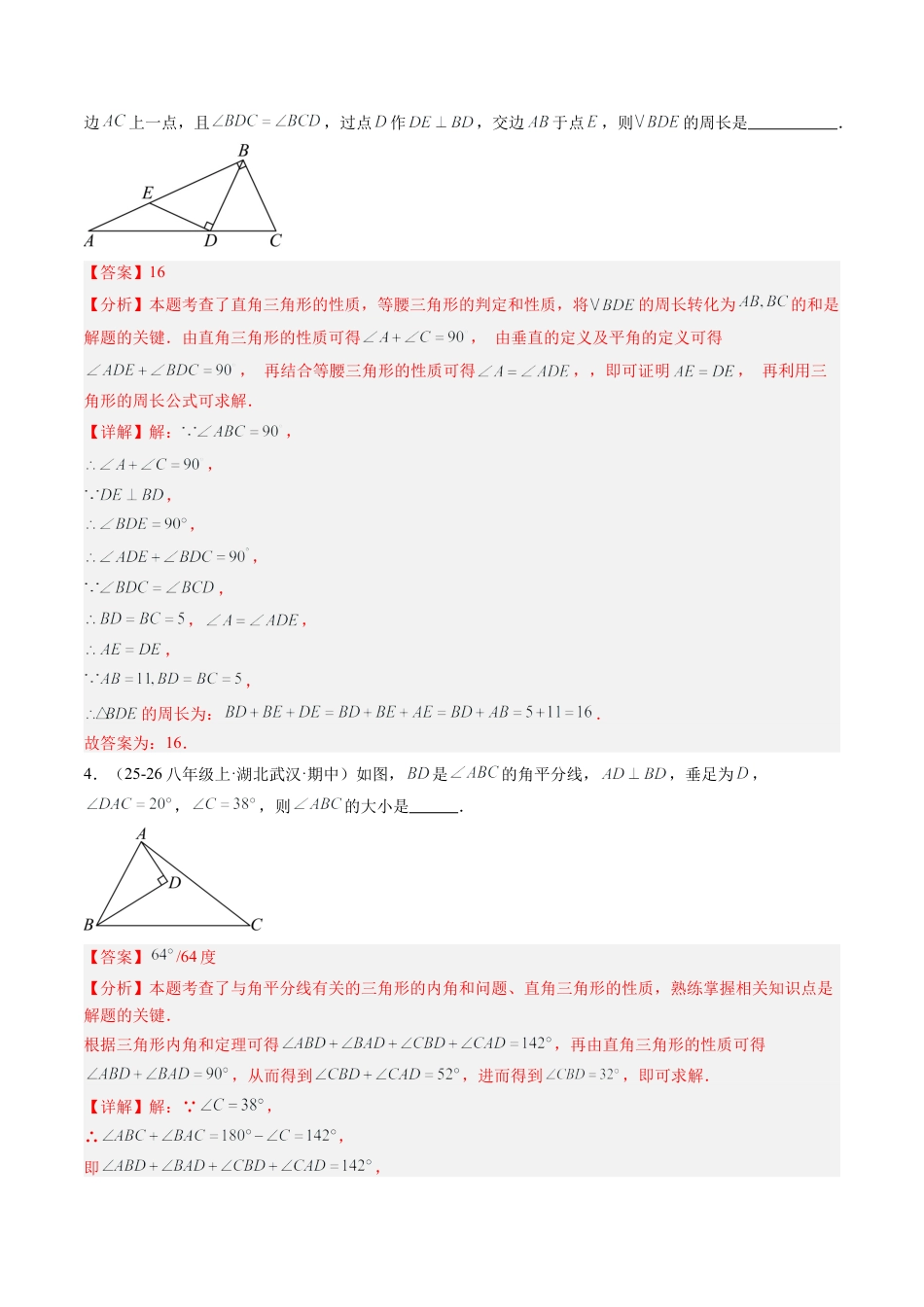 鲁教版（五四制）数学七年级下册专题04 直角三角形的性质与判定（8大题型）（专项训练）（解析版）.docx_第2页